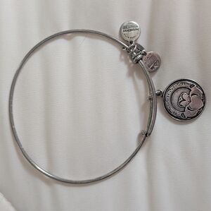 Alex and Ani Silver Charm Bracelet